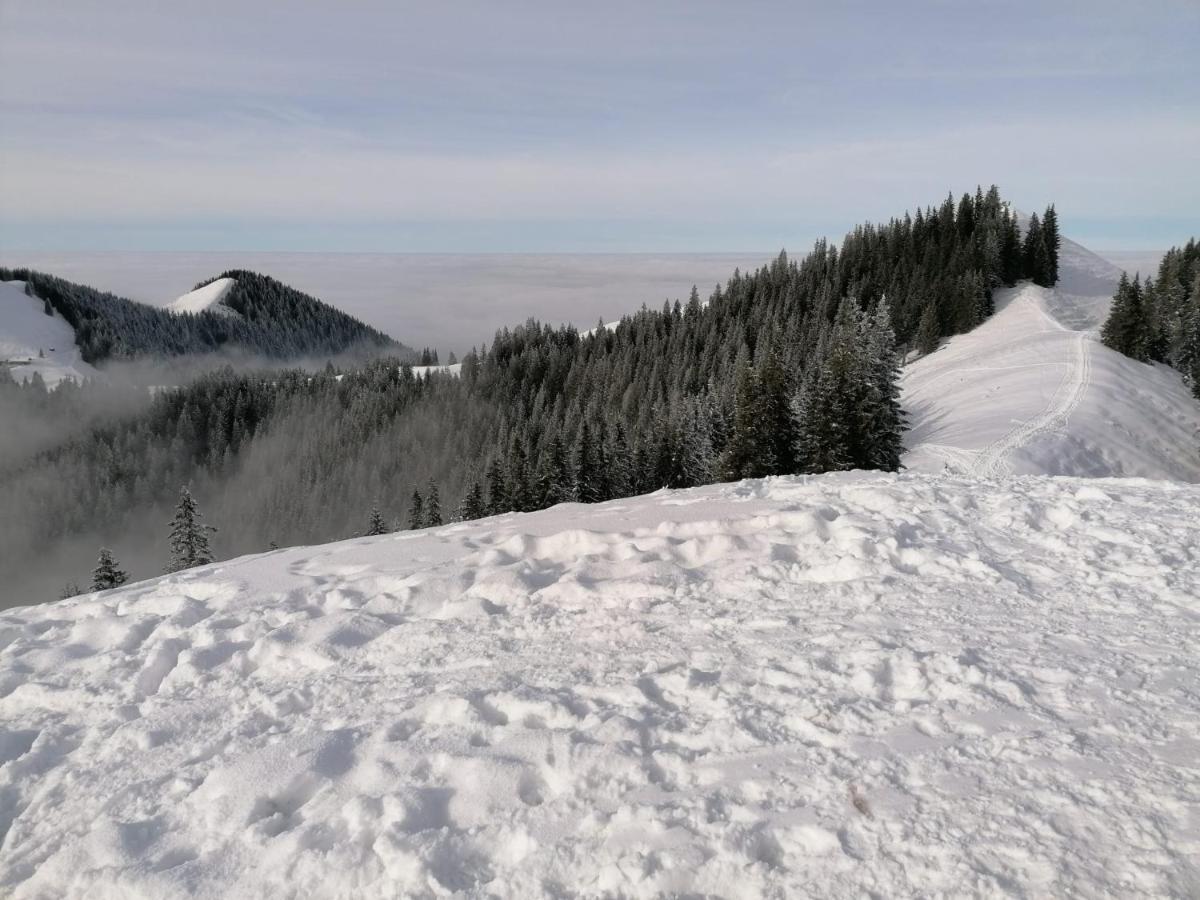 Kultur, Berge, Seen, Moor - Das Lebensglueck Мурнау-ам-Штаффельзе Екстер'єр фото